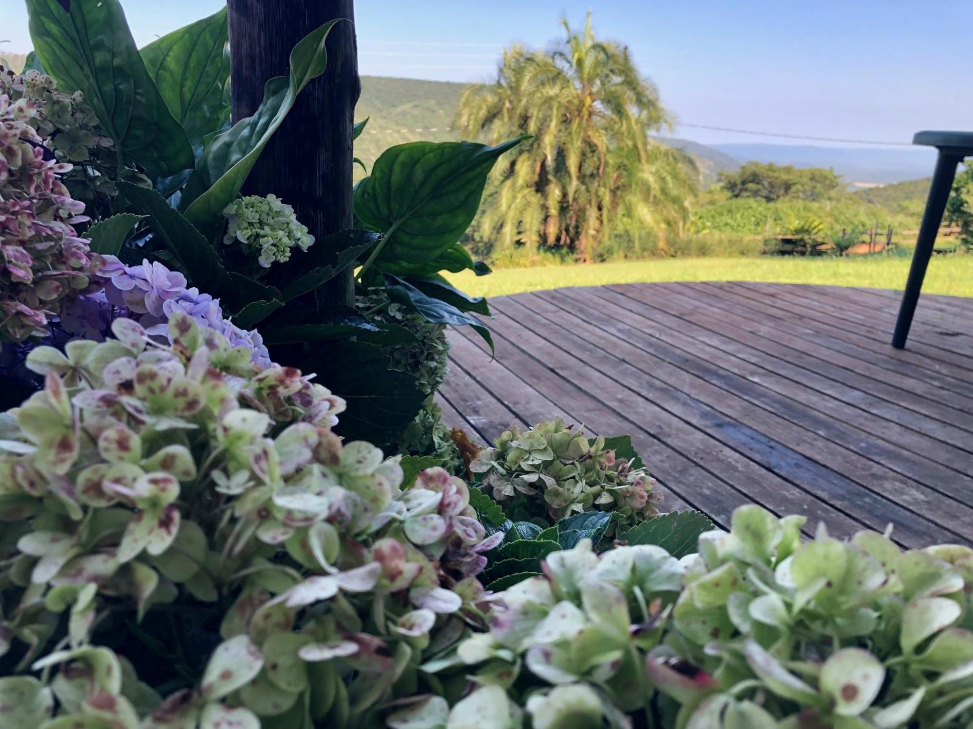 Mabuda Guest Farm Siteki Bilik gambar