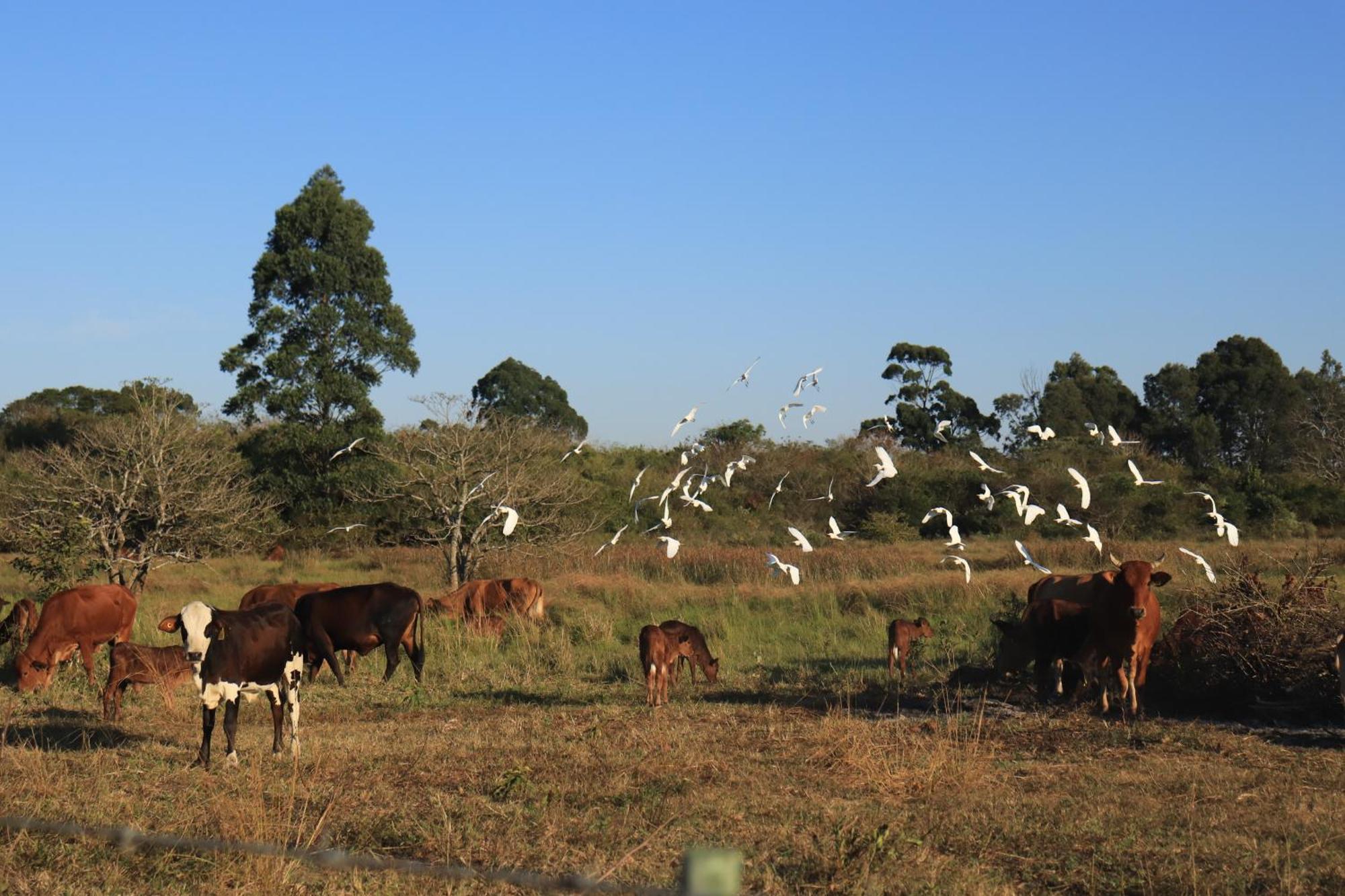 Mabuda Guest Farm Siteki Luaran gambar